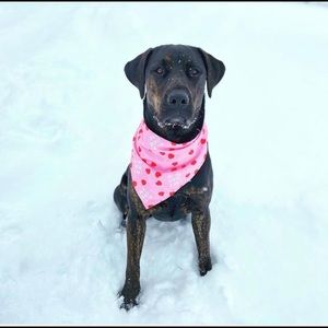 Meet your Posher, Jessi